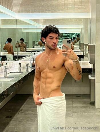 luiscapecchi