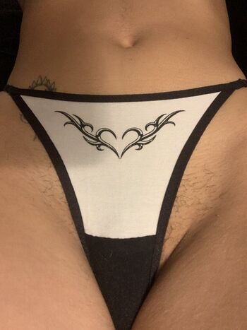 manguito