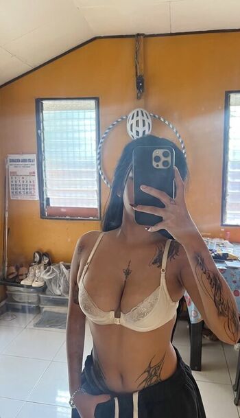 mi.mocav