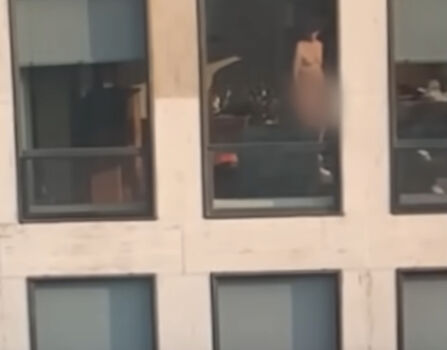 Full leaked Neighbor private photo