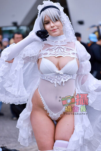 neti_jp