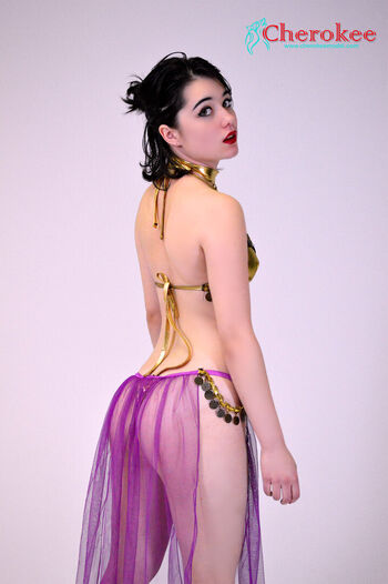 NewCityModels