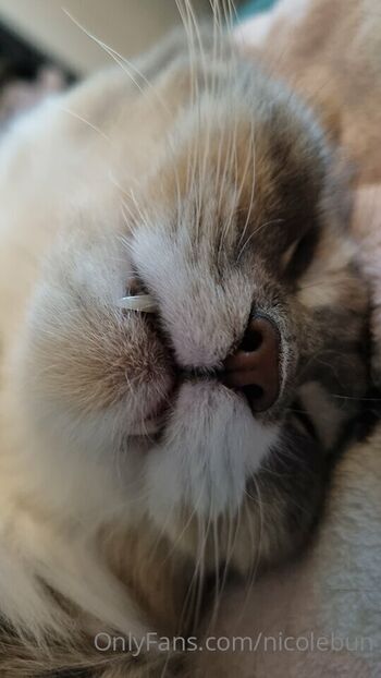 Full leaked Nicolebun private photo
