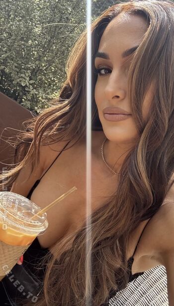 Full leaked Nikki bella private photo