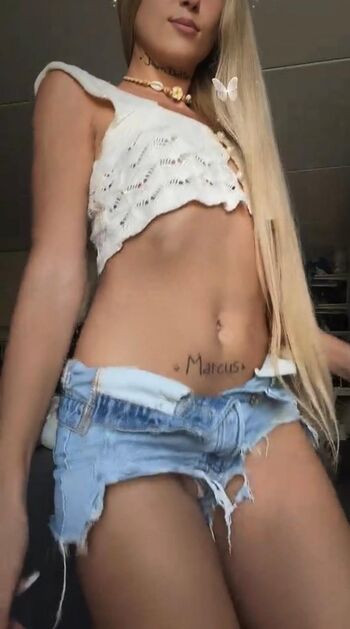 Noelli_fxe