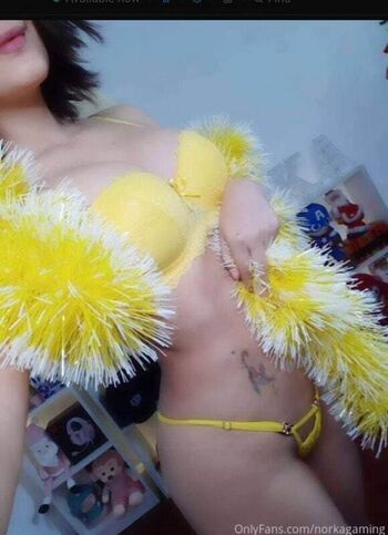 Full leaked Norkagaming private photo