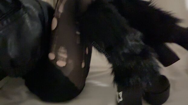 Full leaked Pawsbny page private photo