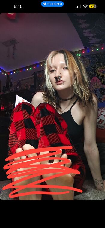 Pedilovervivica2