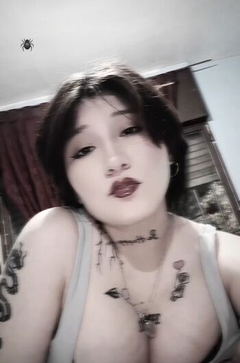 Perla.cr