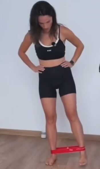 Pidi_meg