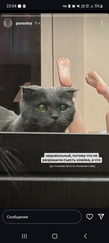 pussutoy
