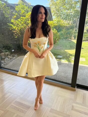 Full leaked Rachel bilson private photo