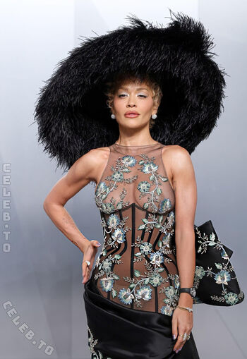 Full leaked Rita ora private photo