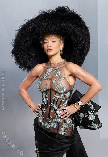 Full leaked Rita ora private photo
