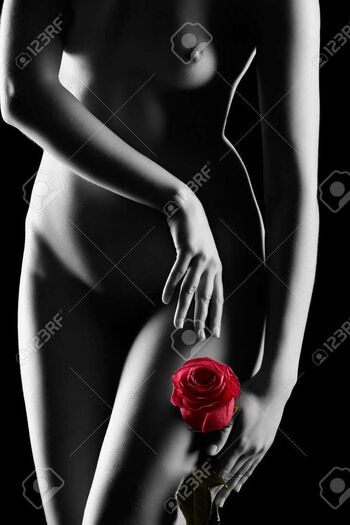 Rose Black