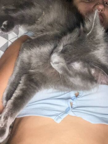 Full leaked Sarah kate private photo