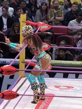 Sasha Banks
