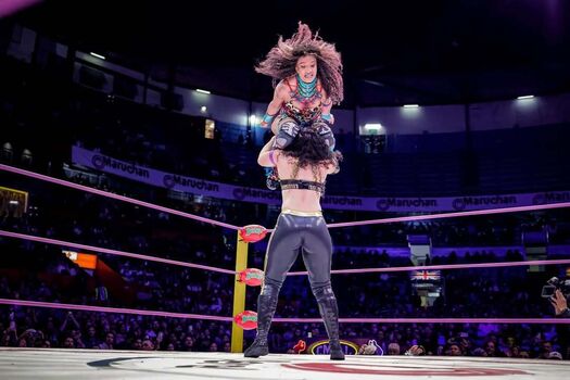 Full leaked Sasha banks page private photo