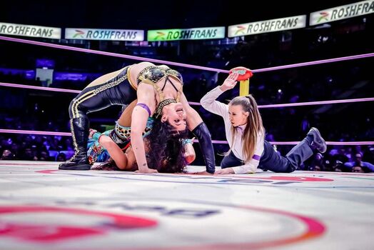 Full leaked Sasha banks page private photo