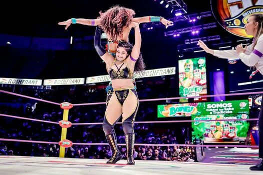 Full leaked Sasha banks page private photo