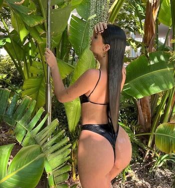 savanashefer