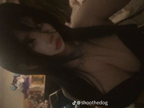 Shoothedogs