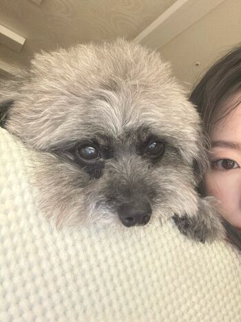 Full leaked Shuhua private photo