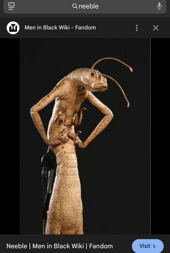 Full leaked Slimgem private photo