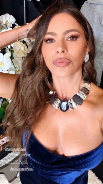 Full leaked Sofia vergara page private photo