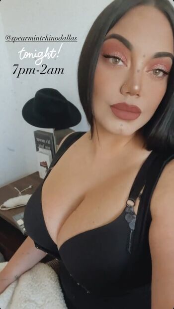 Stephllanes_