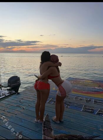 stonefox_