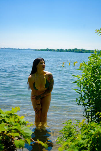 SunfyreTv