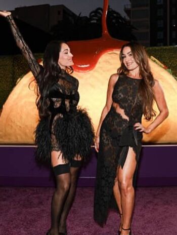 The Bella Twins