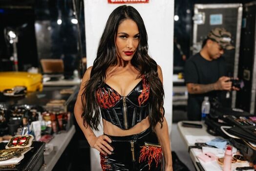 Full leaked The bella twins private photo