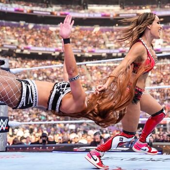 Full leaked The bella twins page private photo