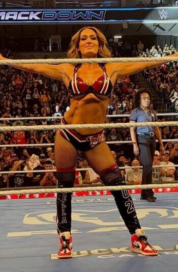 The Bella Twins