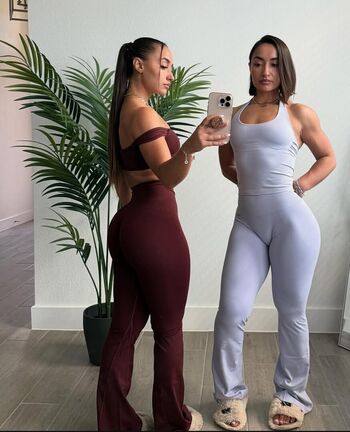 twinsb_fit
