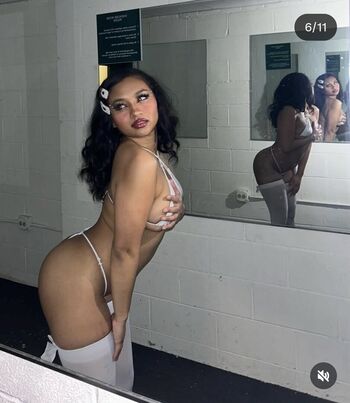 Visual Vixen