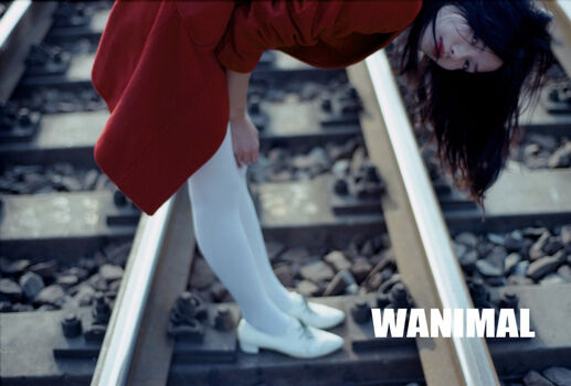 Wanimal Models