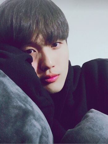 yang_sub
